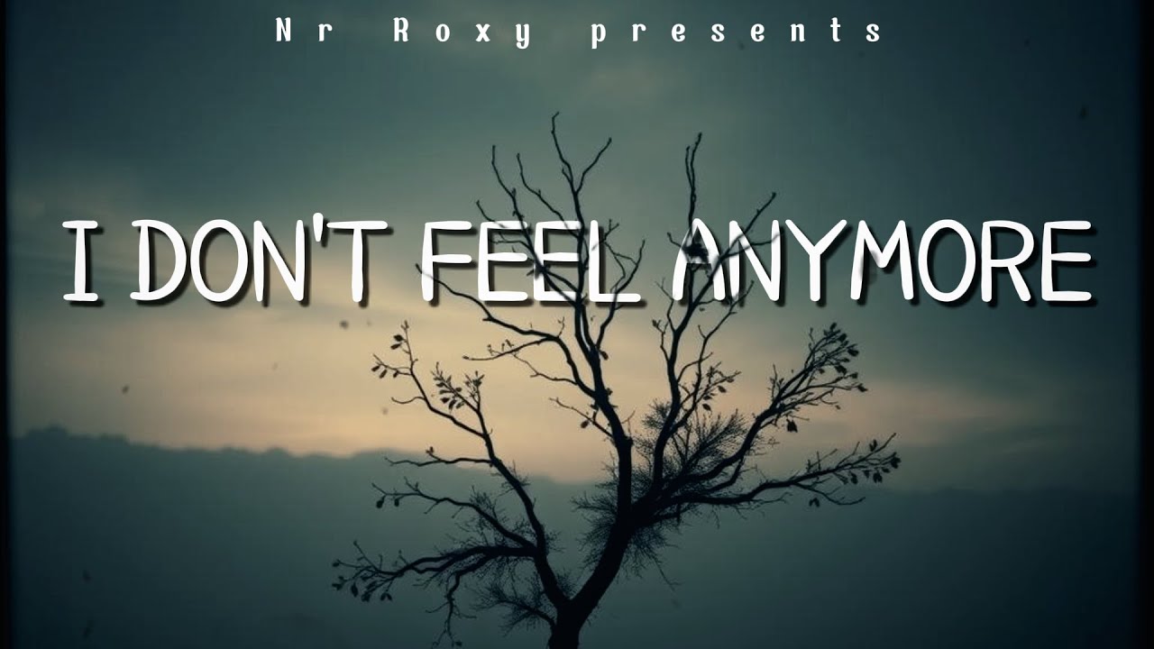 I Don’t Feel Anymore – Heartbreaking Sad Song 2025 | Nr Roxy #englishsongs #heartbrokensongs #song