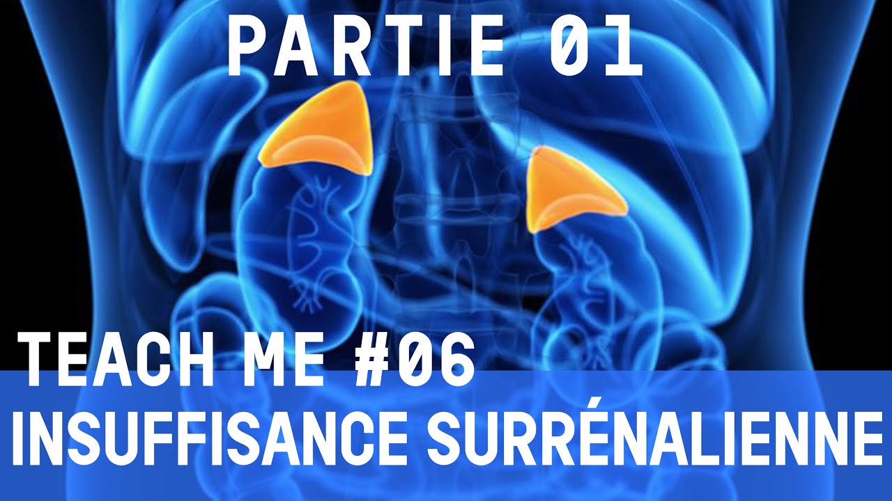 partie 1 : l'insuffisance surrénalienne (Teach me #06)
