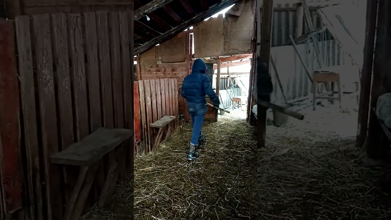 Выгодно ли держать овец. Овцы как бизнес.