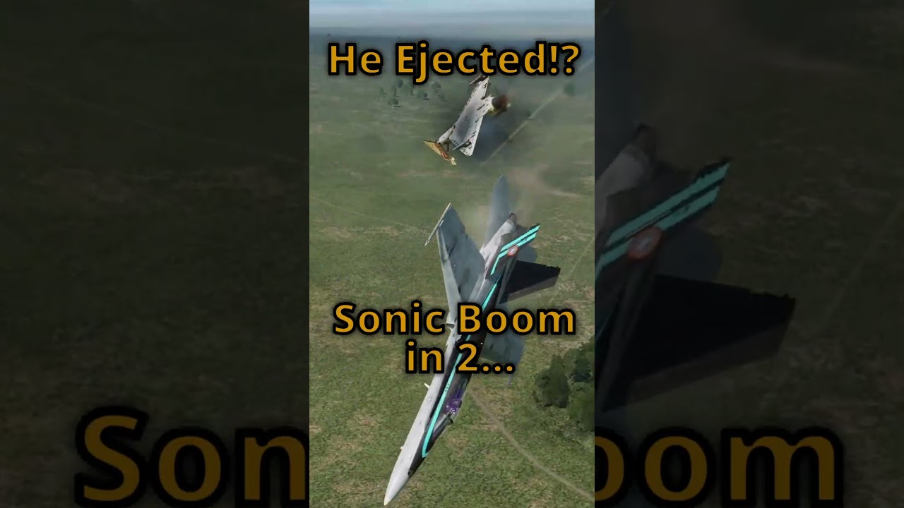 The Pilot Survived!? #dcs #dogfight #fighterjet