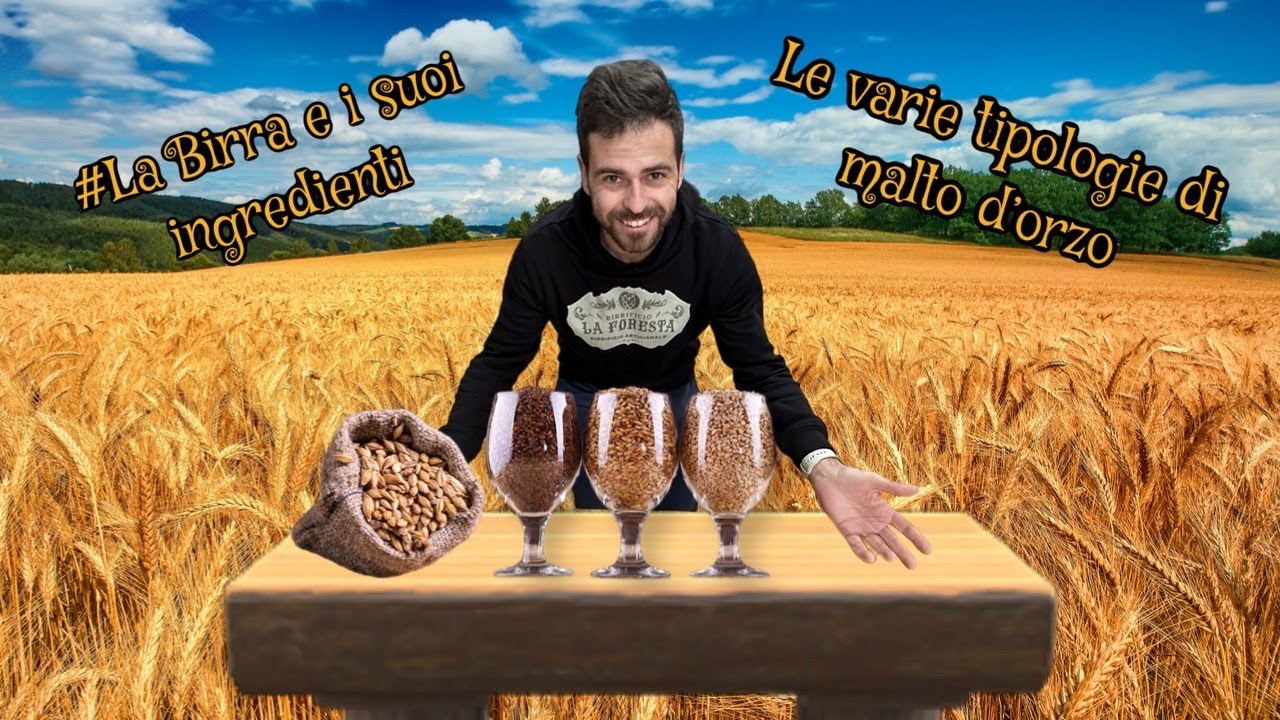 Le varie tipologie di malto d'orzo - La BIRRA e i suoi INGREDIENTI