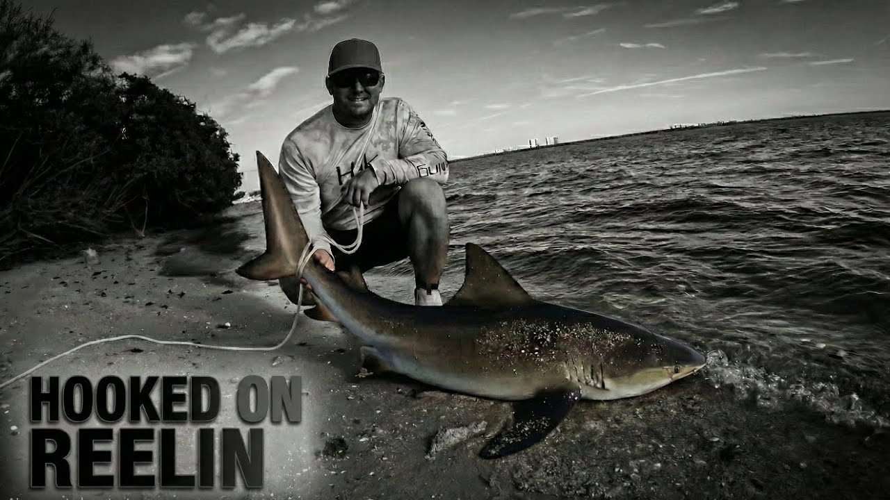 Bullshark Catch, Clean, Cook! Indian River Lagoon.