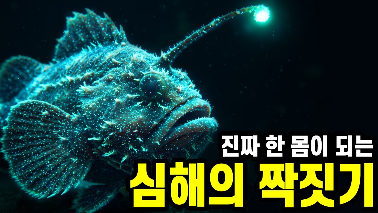 심해 아귀의 기괴한 생물학 : 수컷이 암컷의 '신체 일부'가 되는 과정