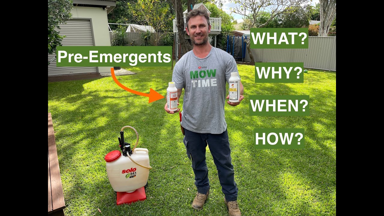 LAWN PRE-EMERGENTS FOR BEGINNERS. WHAT, WHY, WHEN & HOW?