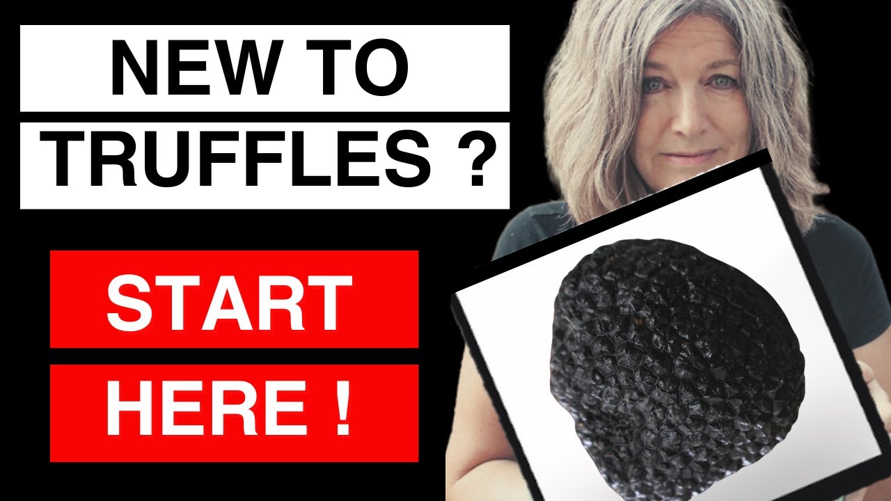 How to Hunt Black Summer Truffles
