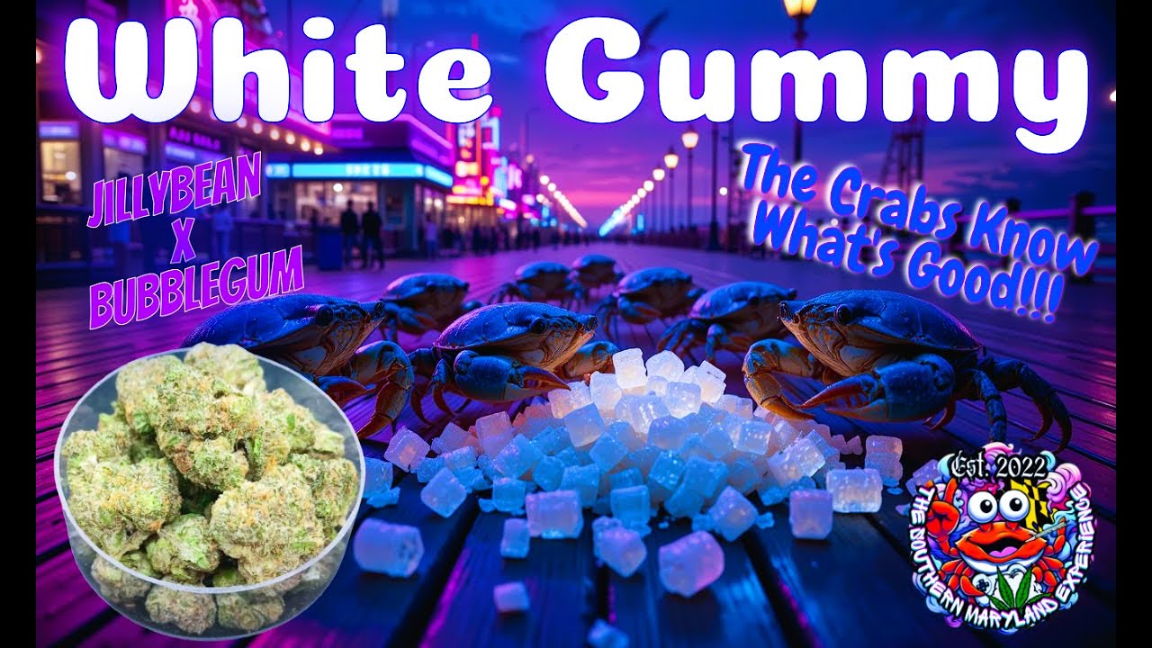 Trying TSME White Gummy THCa Flower - Very Tasty!