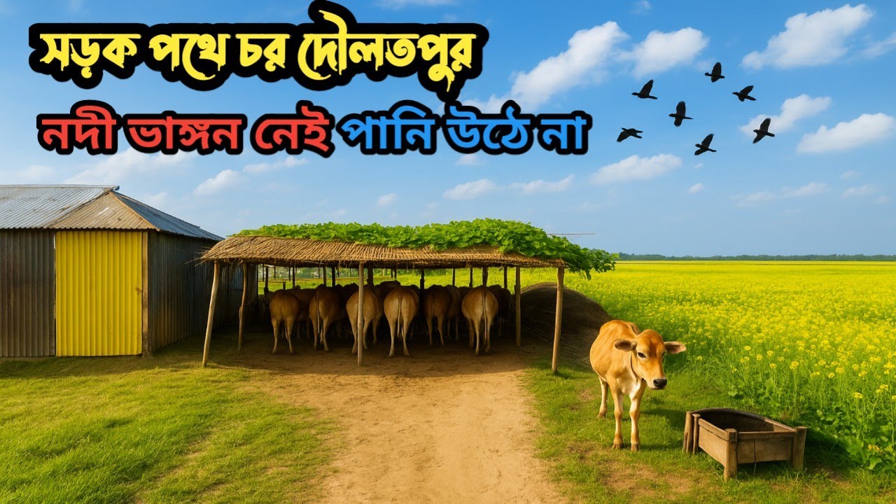 সত্যি কি জমি সস্তা সড়ক পথে চর কাগজপত্র ঠিক পানি উঠে না বিশ্বাস না হলে ভিডিওটি দেখুন!villageland 