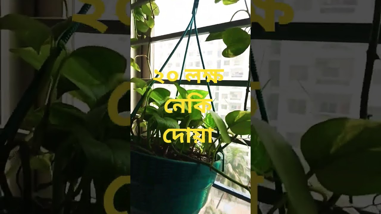 #deed