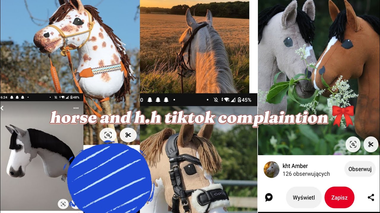 horse and h.h tiktok complaintion