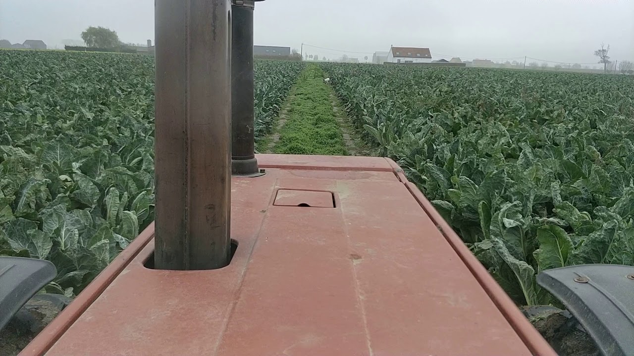 Harvesting cauliflower with automatic steering. Ublox GPS and RTKLIB.
