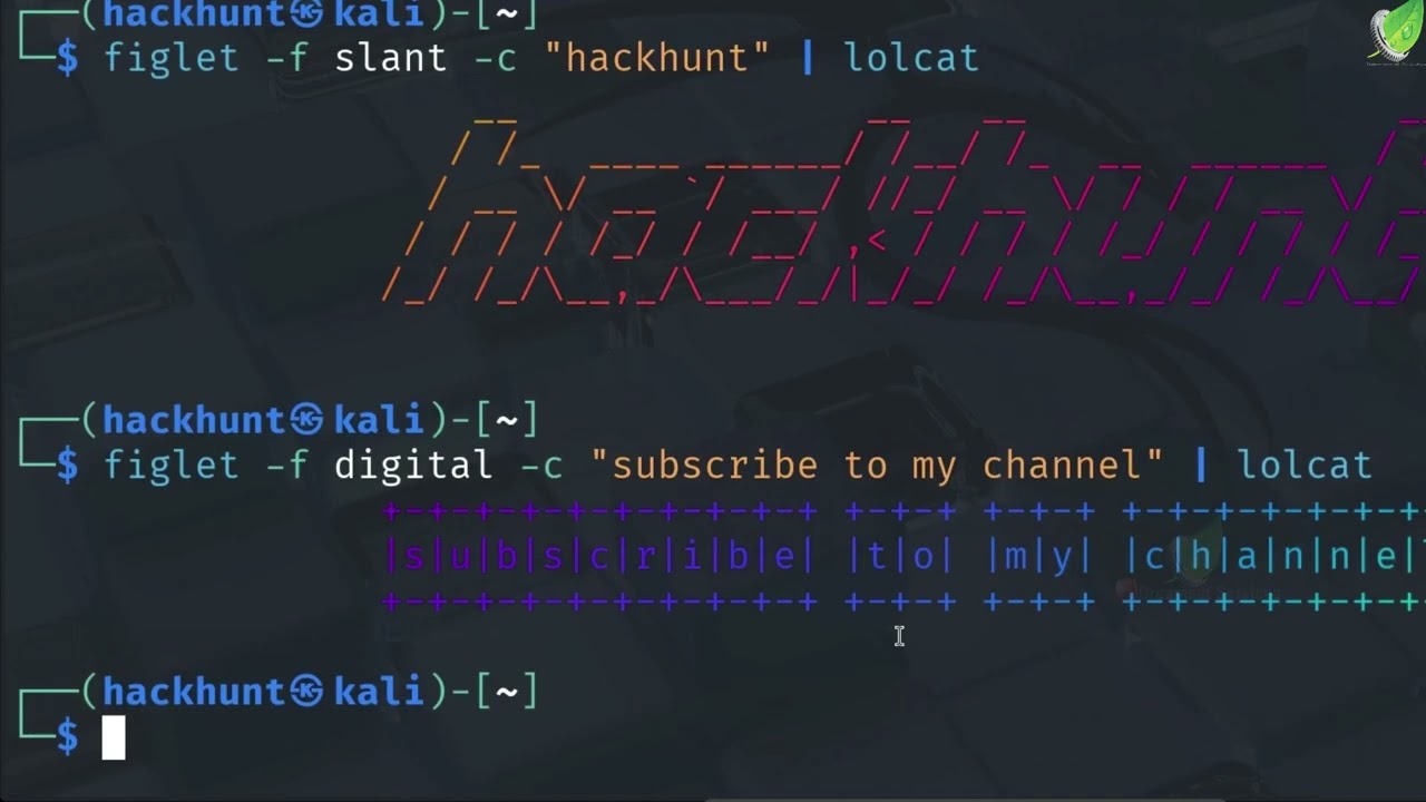 📌 Как настроить терминал Kali Linux как хакер &mdash; руководство для начинающих