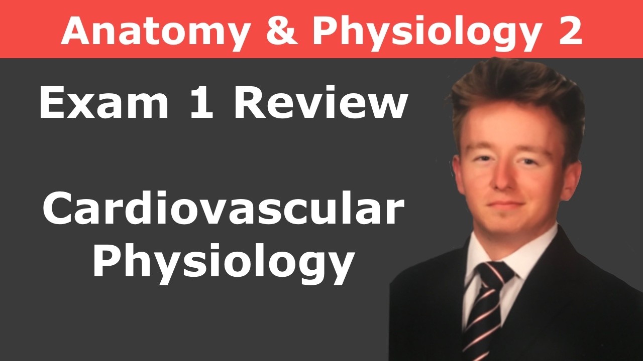 Cardiovascular Physiology Anatomy & Physiology - Exam Prep - LIVE Q&A - 2/26/26