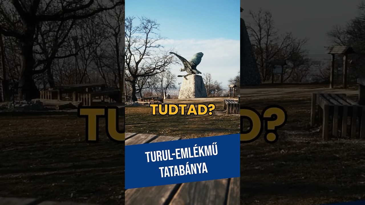 Turul mad&aacute;r - Tatab&aacute;nya