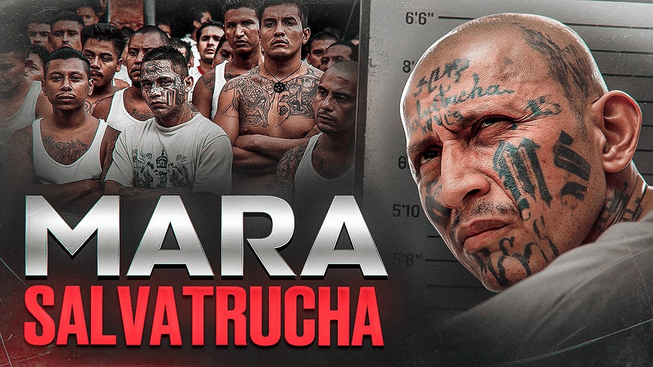 LOS REYES DEL CRIMEN DE EL SALVADOR - Mara Salvatrucha (MS 13)
