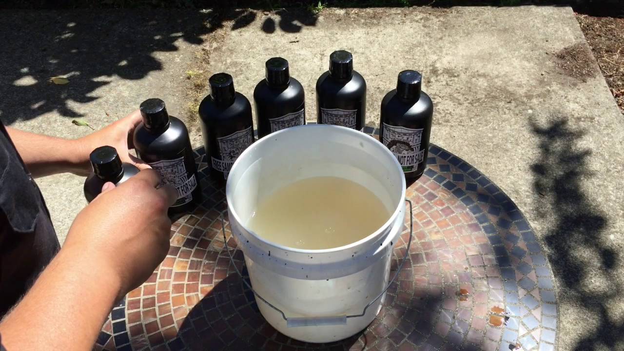 Nectar for the Gods - mixing a feeding