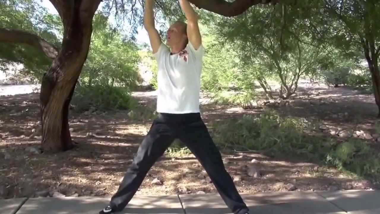 8 Simple Movements of Qigong for Beginners by Jake Mace