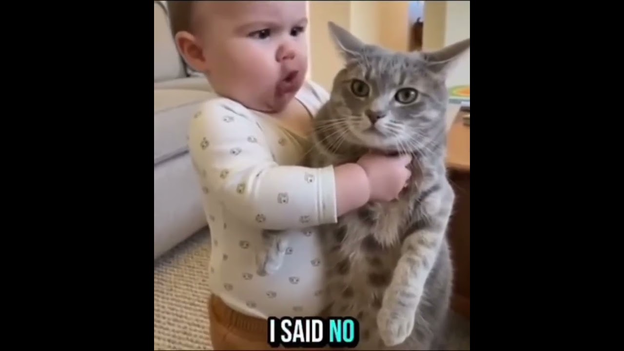 😁 #cat #funny #cutebaby #viral  