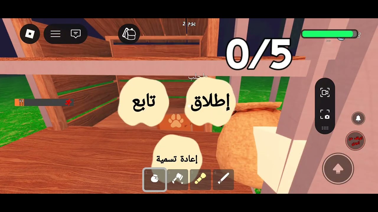 ١ فبراير ٢٠٢٦