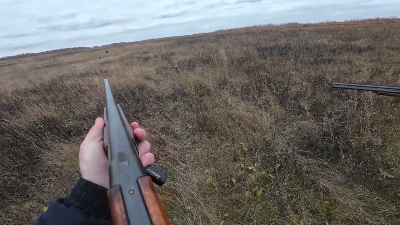 Осенняя охота на дикого гуся.