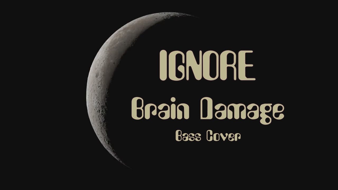 Brain Damage-Ignore (feat Black Sifichi) Bass Cover