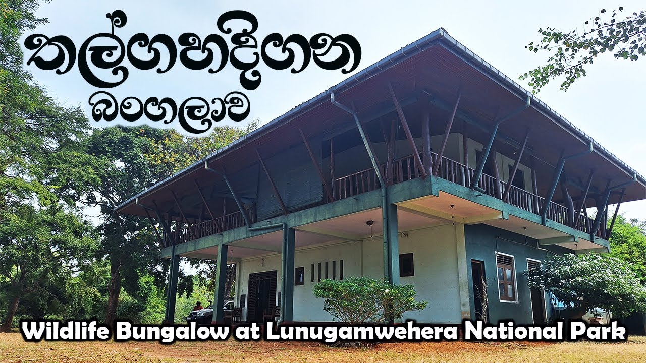 Thalgahadigana Bungalow | තල්ගහදිගන බංගලාව | Review | Lunugamwehera National Park | Sri Lanka