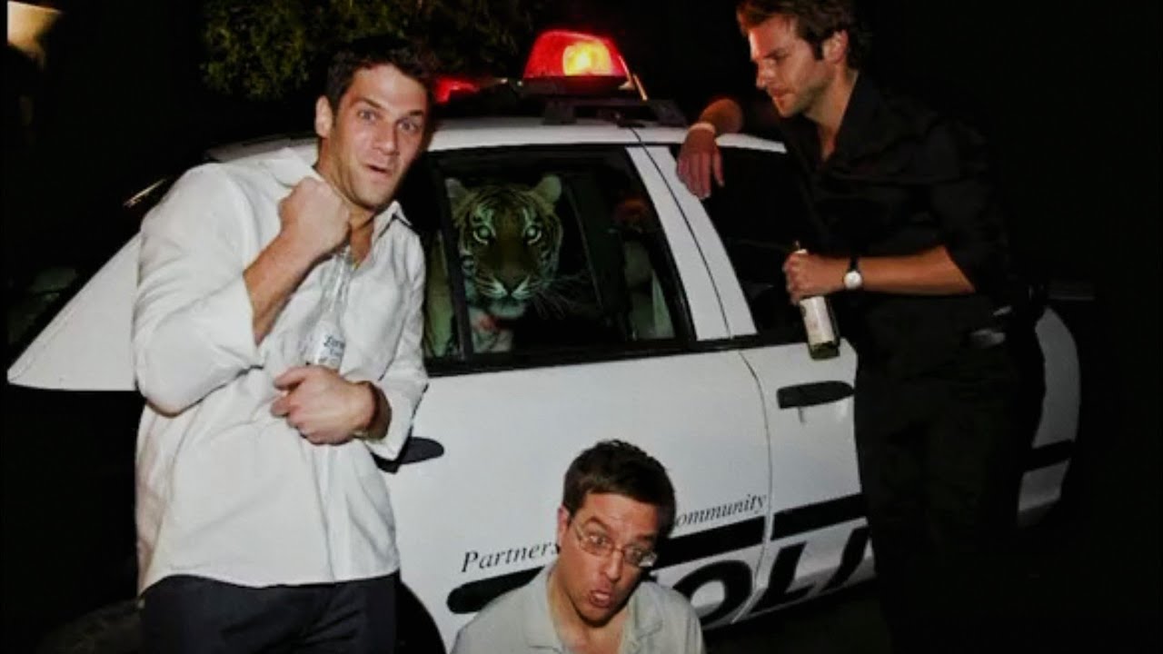They Got Drunk And Steal A Tiger And A Police Car