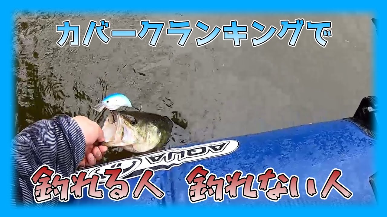 【カバークランキング】ジグより遅く【イヴォーク】