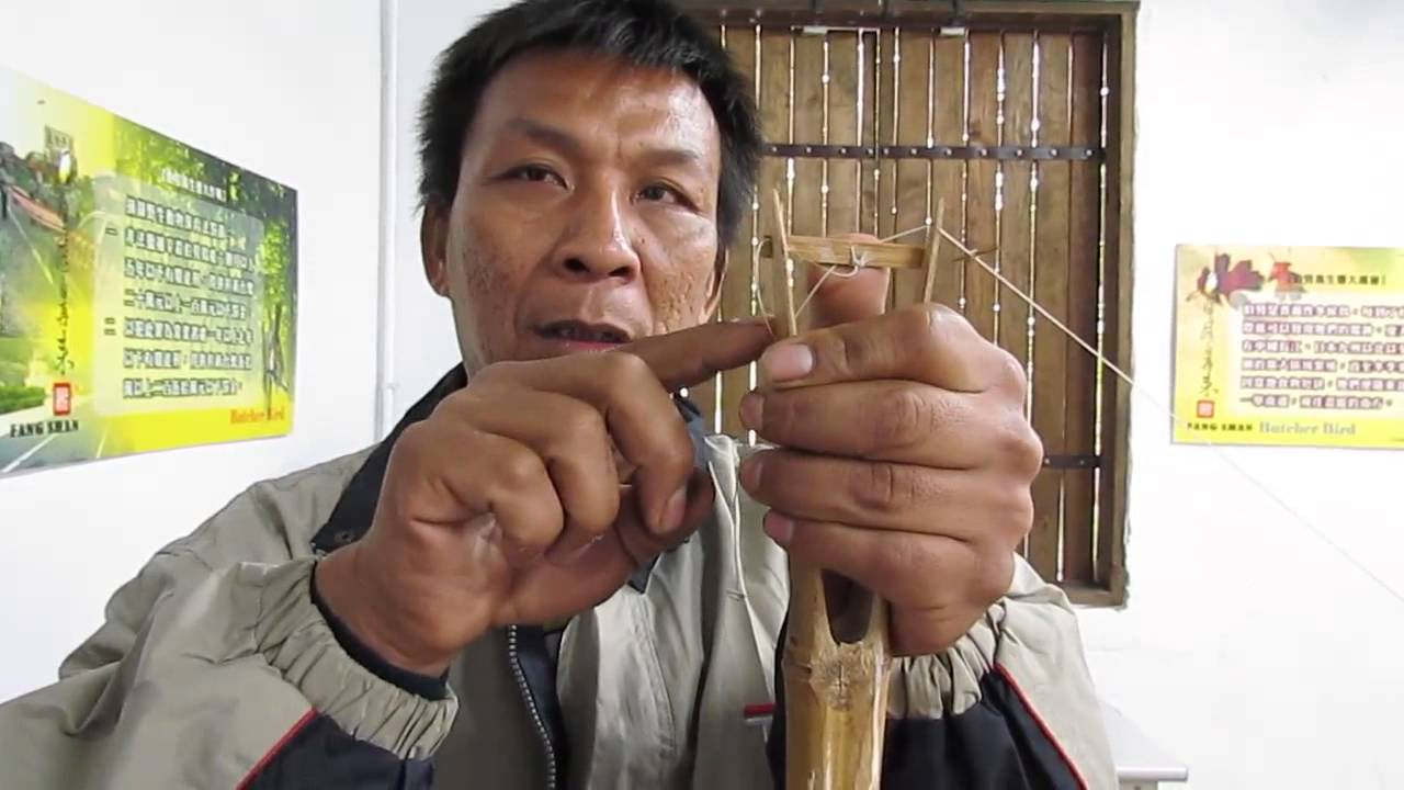 第二代 鳥仔踏終結者