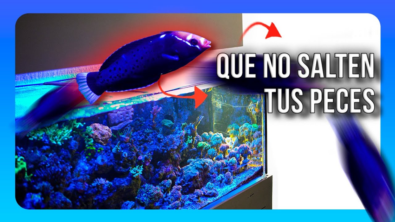DIY malla anti salto | OSO REEF
