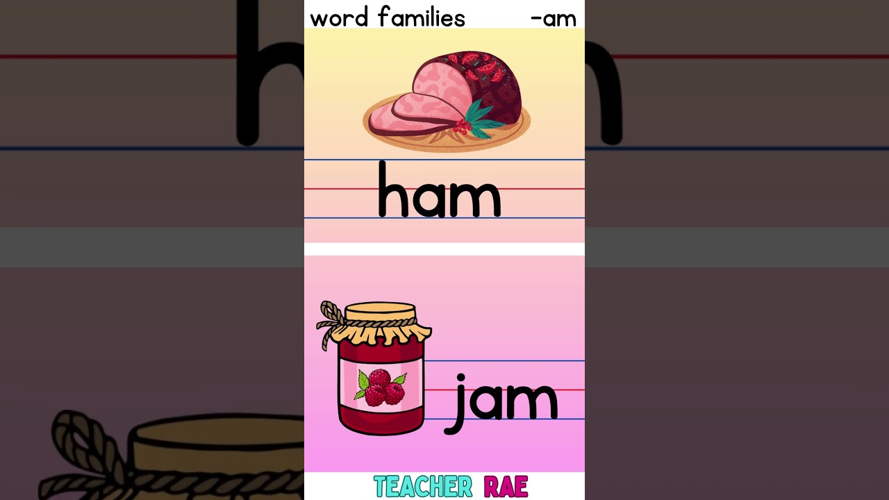 words families  -am || reading for beginners || kindergarten || grade 1