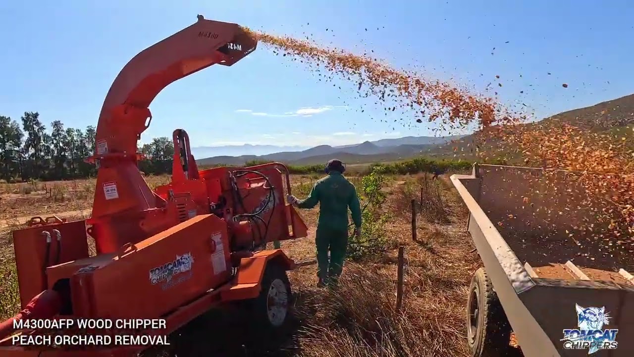 Old peach orchard removal and recycling with a 300mm 12 inch TOMCAT model 4300AFP PTO  wood chipper