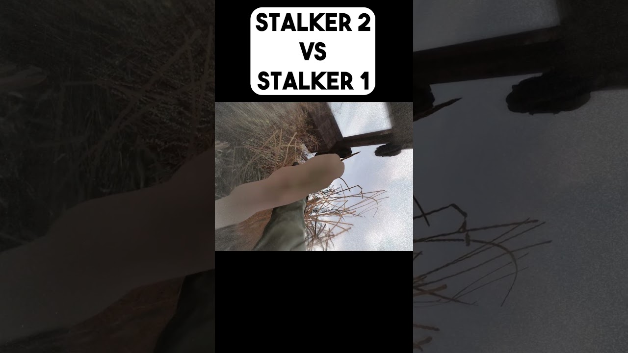 STALKER 2 WEAK SKIF VS CHAD STRELOK