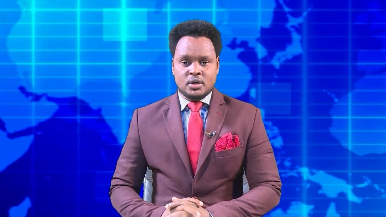 Warka Universal TV 16 10 2025
