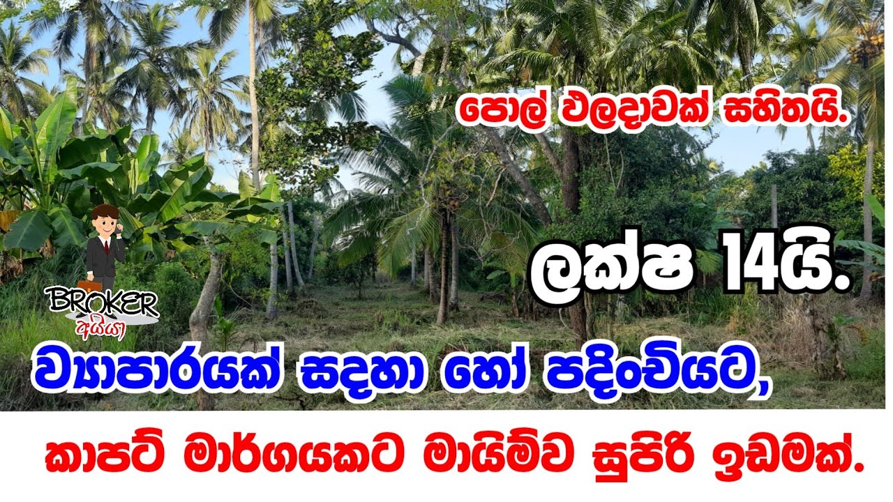 land for sale in srilanka/idam gewal/Aduwata idam/property for sale in sri lanka/aduwata idam/idam