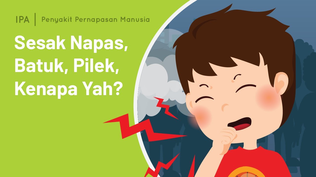 Penyakit Pernapasan Manusia - Sistem Pernapasan Manusia | IPA | SayaBisa