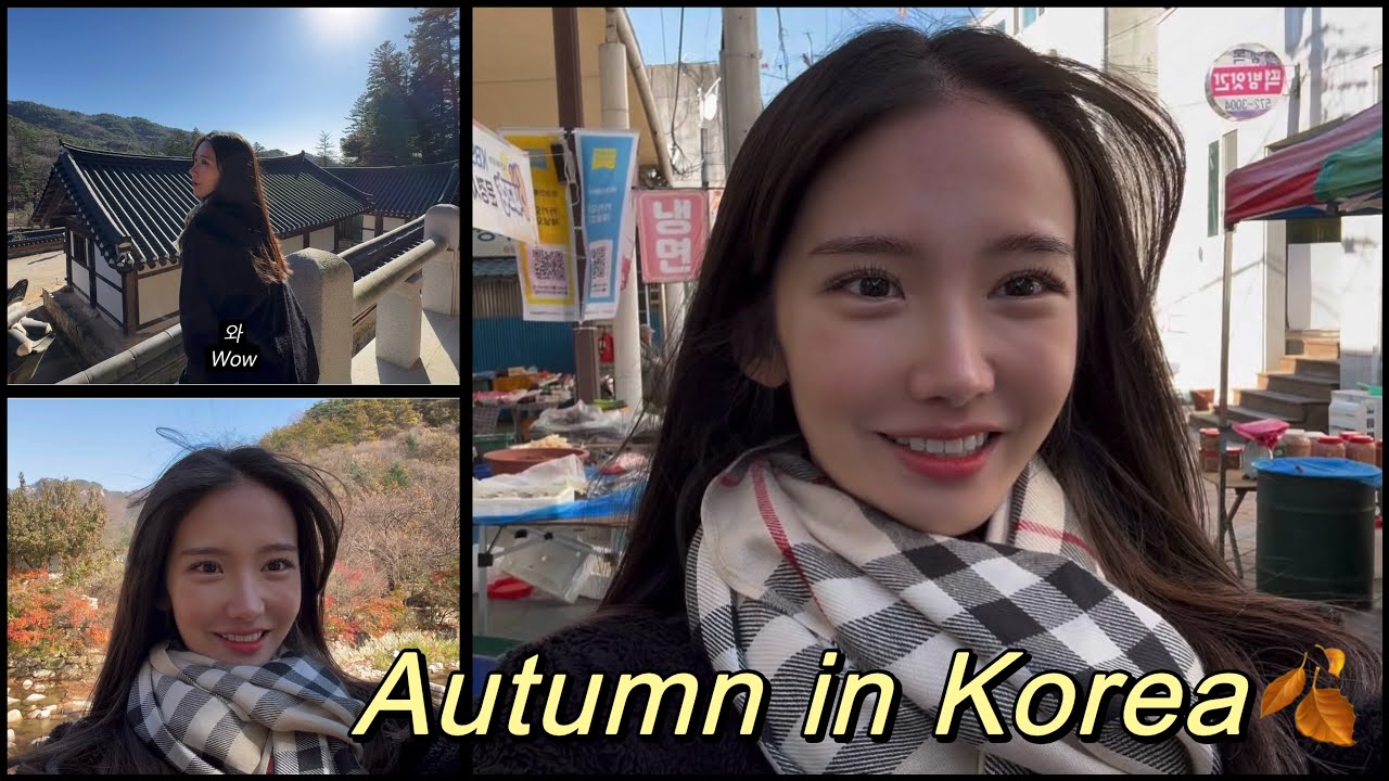 🇰🇷Autumn in Korea | Leaf-peeping | 문경새재, 하회마을 단풍구경