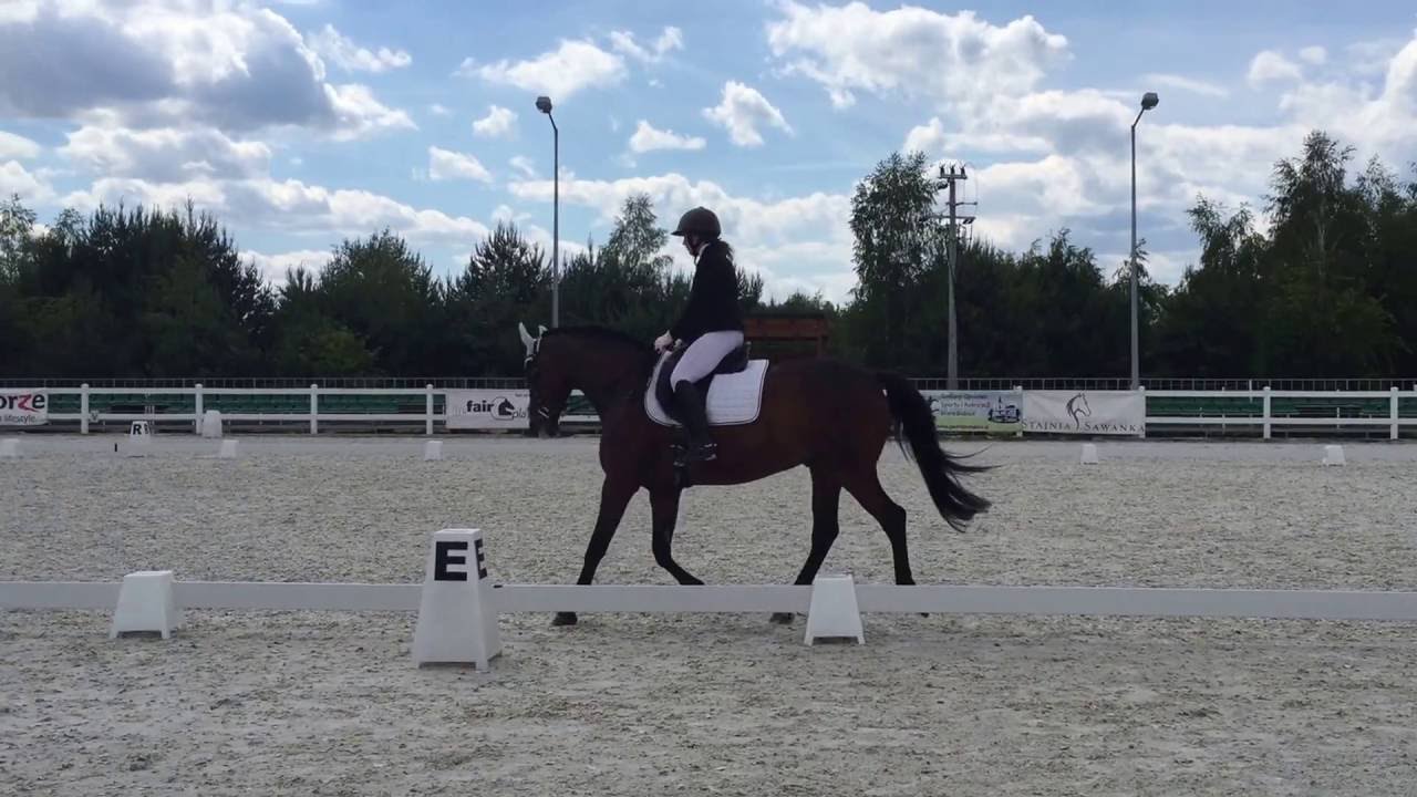 Emilia i Absolwent   P1   Bobrowy Staw 12 06 2016