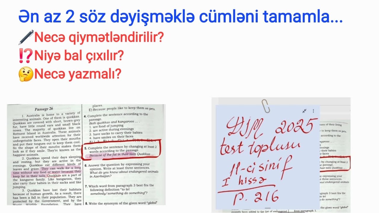 11-ci sinif buraxılış imtahanı | “ən az 2 söz ilə cümləni tamamla