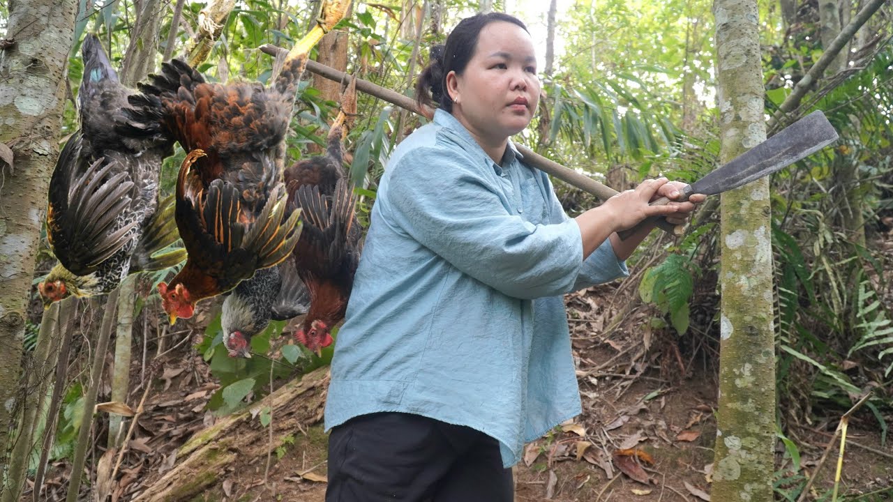 The survival methods of our ancestors - Safely trapping wild chickens.