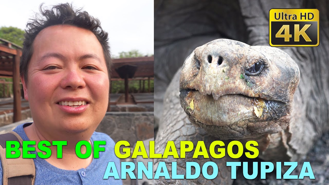 Best of Galapagos - Arnaldo Tupiza Tortoise Breeding Center, Isla Isabela