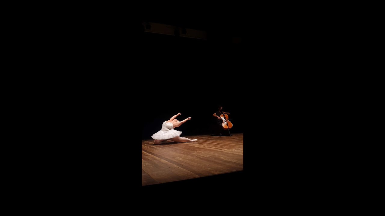 A Morte do Cisne - Júlia Del Bianco