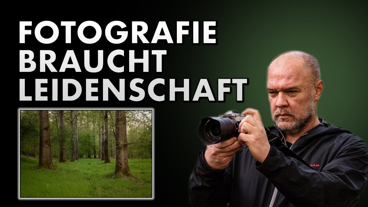 FOTOGRAFIE im Wald braucht LEIDENSCHAFT und TURBULENTES Wetter