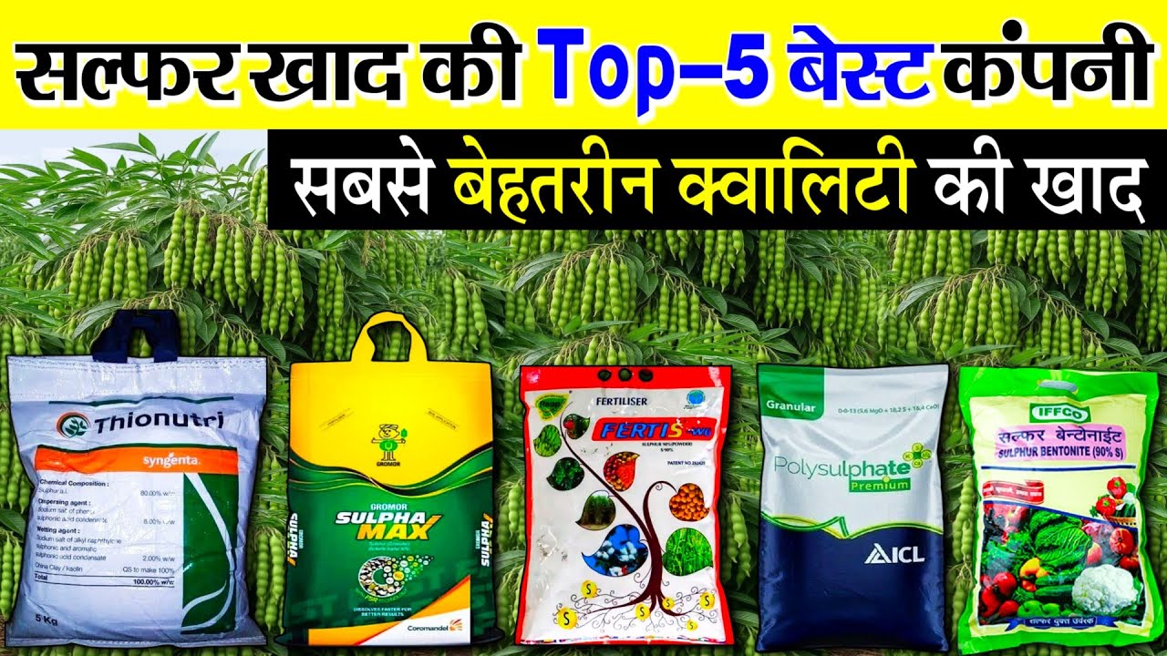सल्फर खाद की टॉप 5 बेस्ट कंपनी | Sulphur fertilizer best company | सल्फर कौन सा डालें
