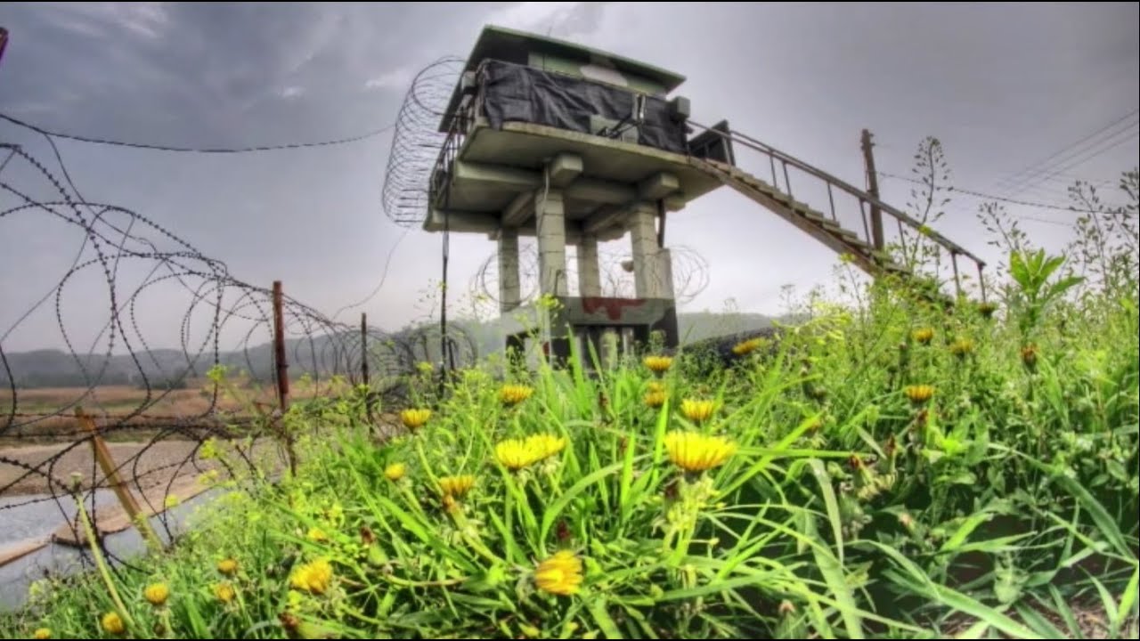 [클립영상] 역사의 현장 DMZ(고등 생활과 윤리, 한국지리)[통일교육]