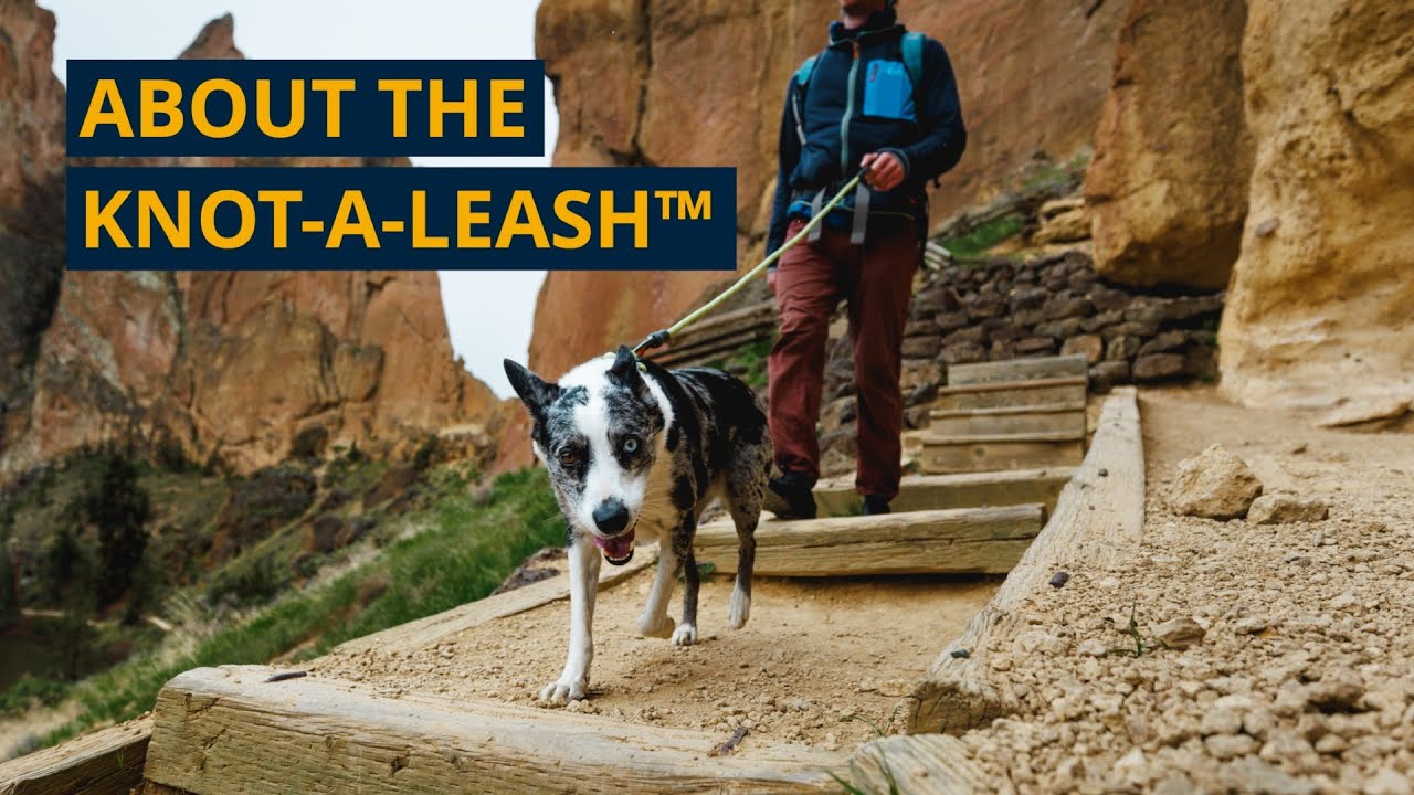 About the Knot-a-Leash™