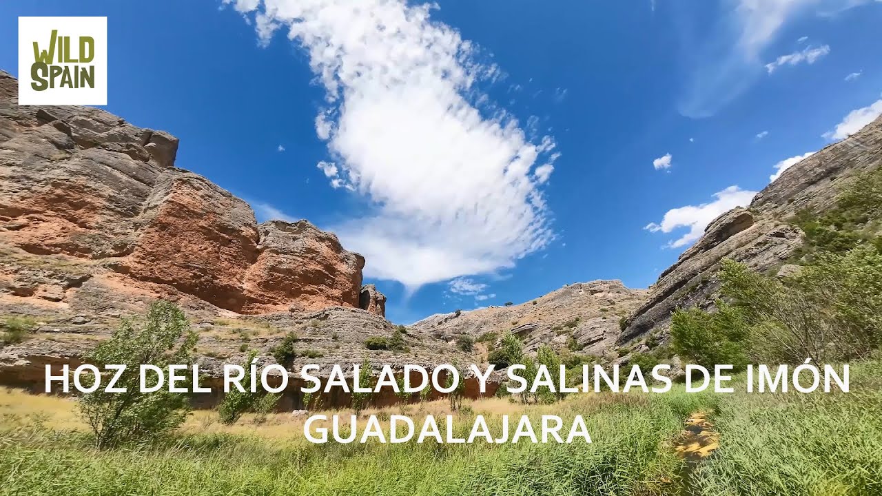 Wild Spain - Capítulo 245 - Hoz del río Salado y Salinas de Imón, Guadalajara.