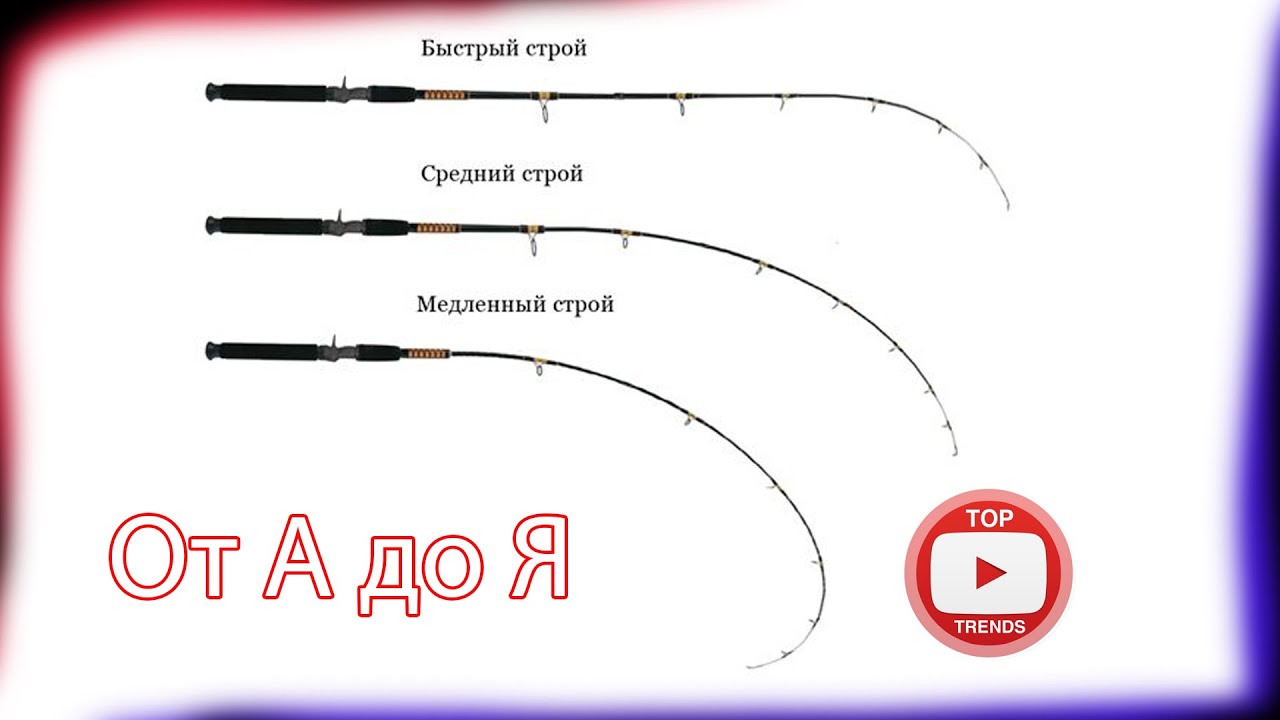 Оборудование для ловли карпа от А до Я  Удилища и катушки  Честный обзор, вся правда №1 рыбалка карп