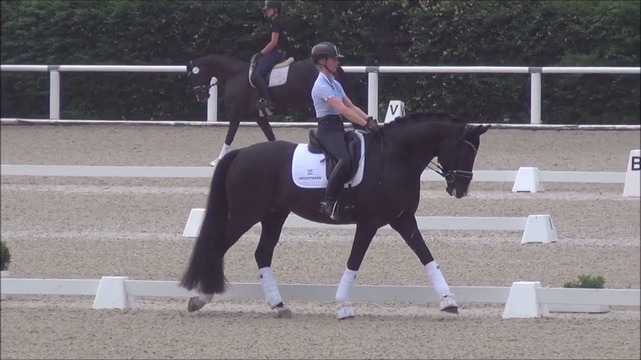 Danciero & Eva Möller - 1. WM-Sichtung 2021 - Freies Training