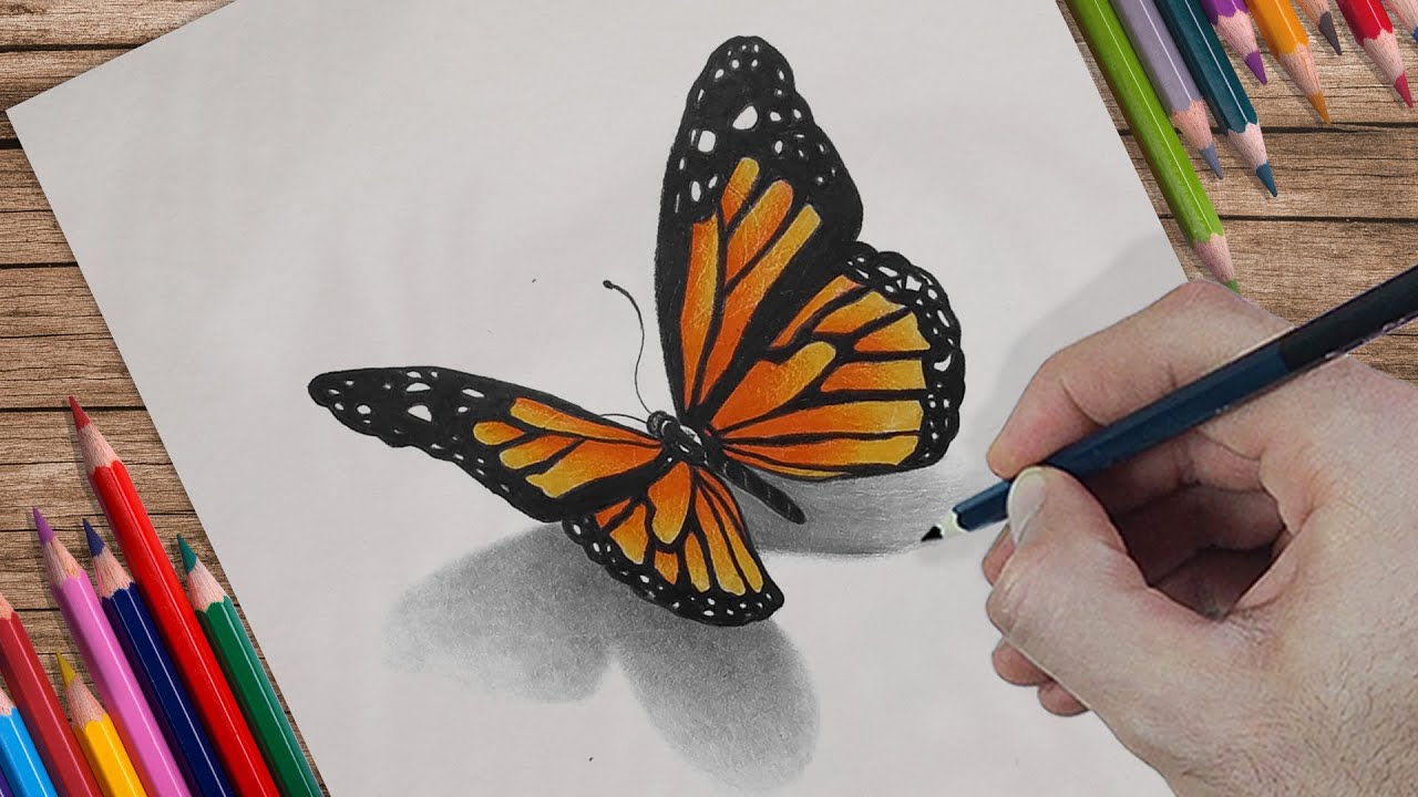 How To Draw a Butterfly Drawing with Colored Pencils / Pencil Colour Drawing