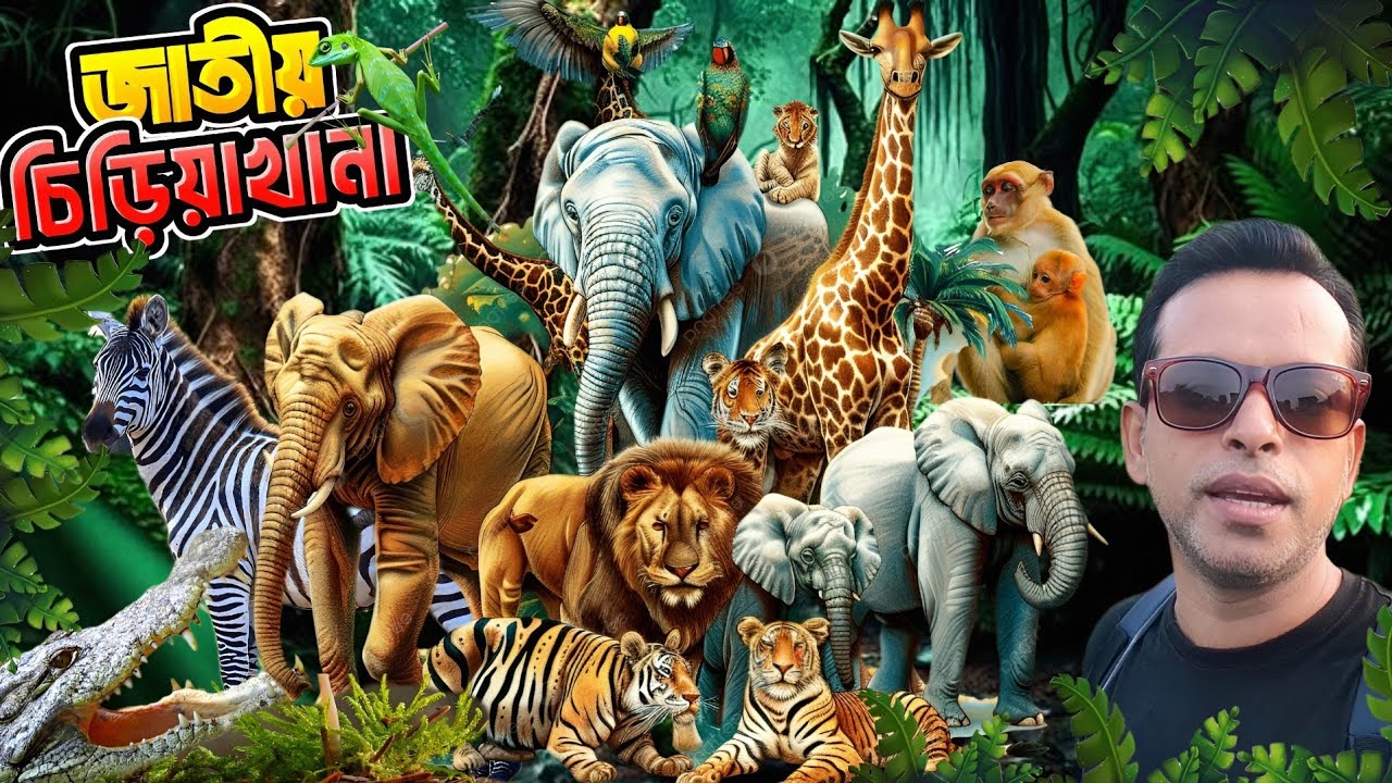 বাংলাদেশ জাতীয় চিড়িয়াখানা মিরপুর 2025 || Bangladesh national zoo Mirpur 2025